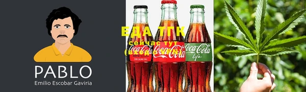 прущие грибы Вязьма
