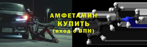 прущие грибы Вязьма