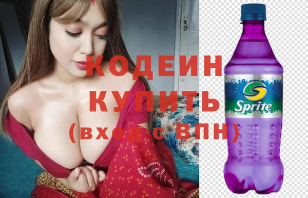 прущие грибы Вязьма