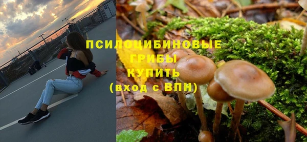 прущие грибы Вязьма