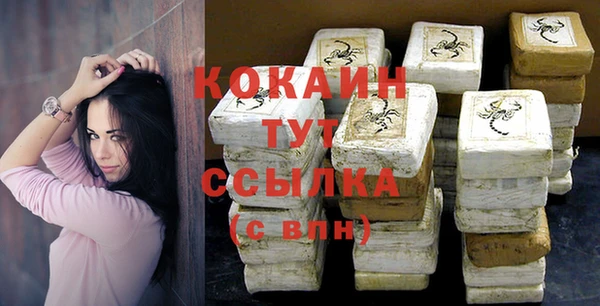 прущие грибы Вязьма