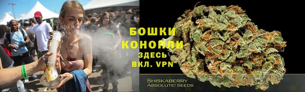 прущие грибы Вязьма
