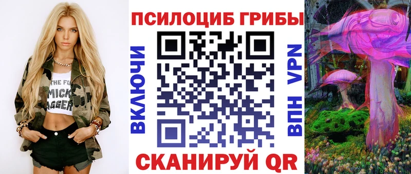 хочу   Гусиноозёрск  Псилоцибиновые грибы Magic Shrooms 